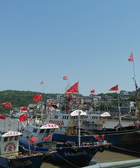 ��һ�μ�ɽ�������Ŷӹ�Ʊ�͵ȴ�����Ⱥ�ŵ���