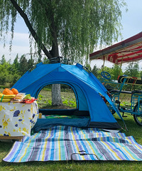 �ܿ����˴��ڡ�������ѡ�������¶ӪҰ��ģʽ