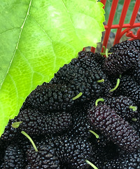 ��ɣ�غ�ȥ����·����ҹ�԰��������ɣ�ؿ�ѡ