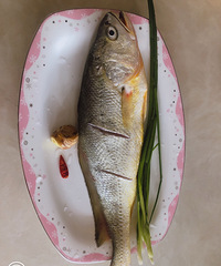 ���Ի���̨��no53����»�����ô�ն��ó�