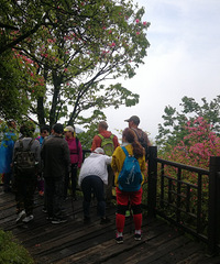 ��һ���κ�����ʡ����������ɽ�ž黨