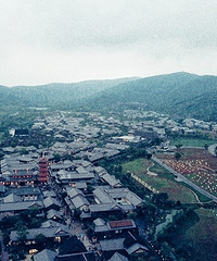 �����黨�壬����ɽ���ż��󹬺����һ��Ʒ����