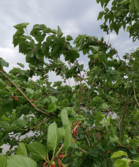 ������ϵ�Ұɣ驳����ˣ����Ŷ�Ҫ����ˮ