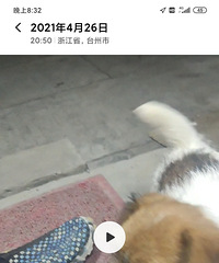 Сĸ����ʧ�����������߼񵽵ĺ����˸����£��г�л