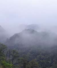 �����������мǡ����Ƽ�����ʤ�ɾ�é��������ּ�