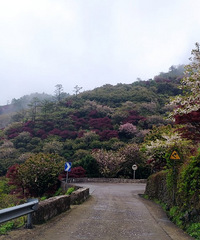 �����������мǡ����Ƽ�����ʤ�ɾ�é��������ּ�