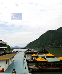 �й�������  ͩ®������