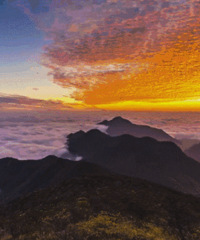 �������������Լݹ�·��ÿһ���ﶼ��������