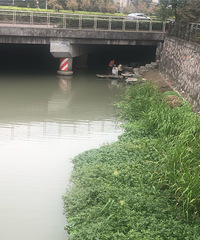 ���ڻ����ں���ϴ�·�����