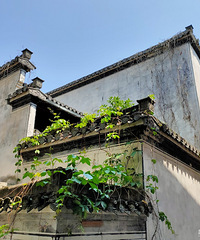 �Լݻ��ݳ�ӡ��