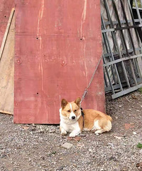 ˭���˴˹�����������ϵ��