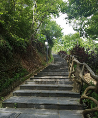 ��һ����֮�����ң�����ط�������ǰ�Ǻ�