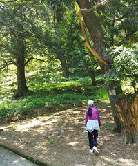 ��һ�ŵ��У�ȥ�����ӹŵ������¹ŵ�����鼹ŵ�