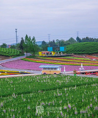 ���ſڵ��⴦�˼��ɾ����а�������һ�������