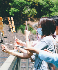 ���ˣ����ɾ�����Ĵ�ѩ����ˣ��ų��Ӷ��Բ�������