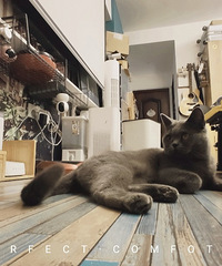 Ե��Ե�ģ�Ҳ���ܹ����ŵ�