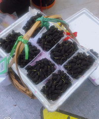 �ֺ������ִ��ɣ�ز����ҩ�˰�