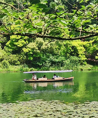 �������ռ�No.53����һ���ݱ��⡾�˴��ڡ��Ƽ���