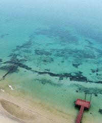 �Դ󺣵��Ȱ�����ð���޵�