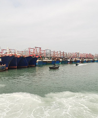 �Դ󺣵��Ȱ�����ð���޵�