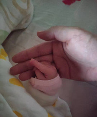 ����������Щ�¶������Ÿ����������ӣ������賳�ò��ɿ���