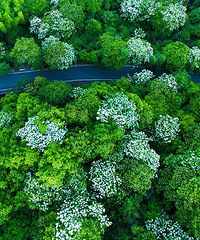 ���¾�Ȼ����ѩ���ˣ������ֵ�����������ɾ�һ������