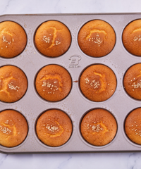 ��Ƥ������ | Сʱ���ζ����������~