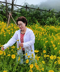 ���ĵ������ʻ�ʢ����ľ�������ͷײ�