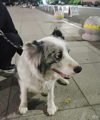 88��GG����174���Ը������������������������������