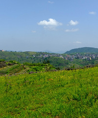 �ĳ�����ɽ��ɫ���ģ��е�̫ɹ��