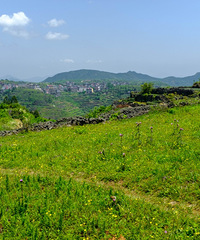 �ĳ�����ɽ��ɫ���ģ��е�̫ɹ��