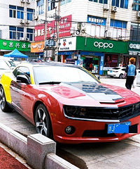 �����й�Ԫ�صĴ�Ʒ�