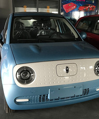 ŷ����è301������ �۸�6��2