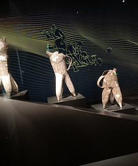 �ɶ�����7���Σ�ר��ȥ�ɶ�����è