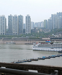 �ɶ�����7���Σ�ר��ȥ�ɶ�����è