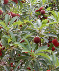 ÿ����80Ԫ��̨���˰��Ե���÷��ǰ������