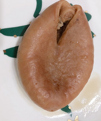 С���ǲ���Ƣθ����С������Ƶ��������һ������������