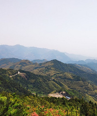 �˼������졪���Ͱ�����ɽ�ž黨�����м�