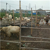 �Ҹ��ڵ�ũ��������