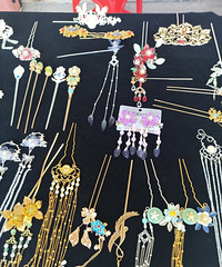 ̨�������������ڷ��Źݷ���԰�ĵط���