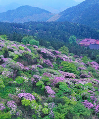 ���ٲ��ơ� �������ơ�����ˢ�������µ���̨ɽ������!