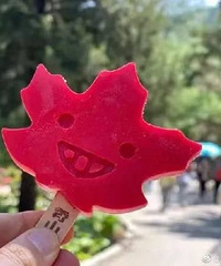 ������ѩ�⣬��Թ���Щ��