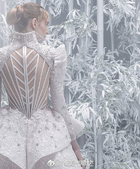 ��ѩŮ���Ļ�ɴ��žͳ������ɣ�