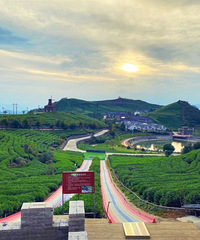 ��ۣ���ѣ��ٺ����þ����Ż�������������