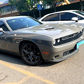 ż����ӱ�ų�һ��