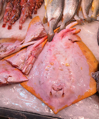 �����ڣ����ʼ۸����붼����