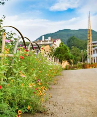 ���������������֪����ͯ�����磬��˵ס�Ż��Һ���