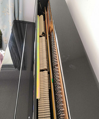 �ԼҺ����õ�ȫ���齭���ٵͼ۳���