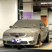 �����ͣ�˶��.....