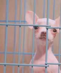 ������3����